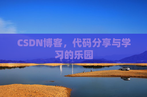 CSDN博客，代码分享与学习的乐园